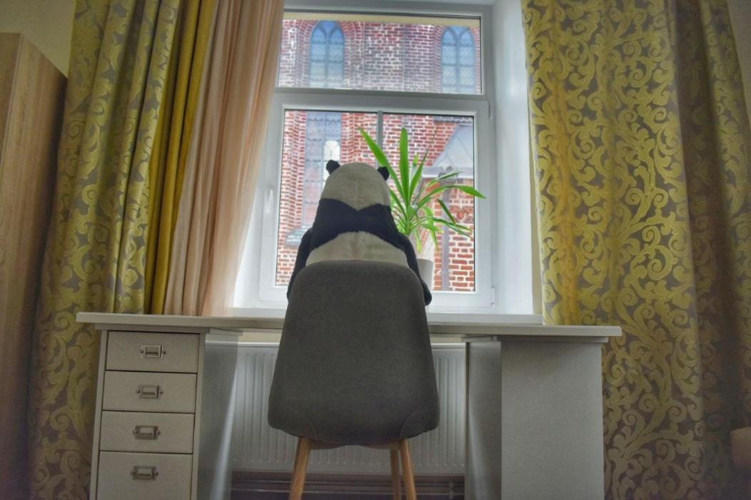 Panda House - Luxury In Old Town Apartment Tartu Bagian luar foto